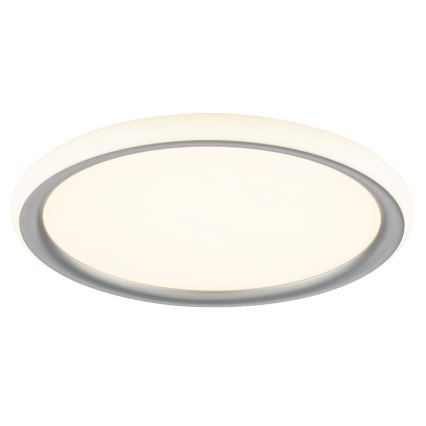 Brilliant - LED hämardatav laevalgusti CARLOZ LED/16W/230V läbimõõt 30 cm valge/ hall