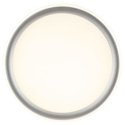 Brilliant - LED hämardatav laevalgusti CARLOZ LED/16W/230V läbimõõt 30 cm valge/ hall