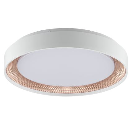 Brilliant - LED-hämardatav laelamp WALDO LED/24W/230V 3000-6500K Ø 38,5 cm valge/roosakuld + kaugjuhtimispult