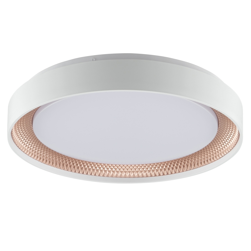 Brilliant - LED-hämardatav laelamp WALDO LED/24W/230V 3000-6500K Ø 38,5 cm valge/roosakuld + kaugjuhtimispult