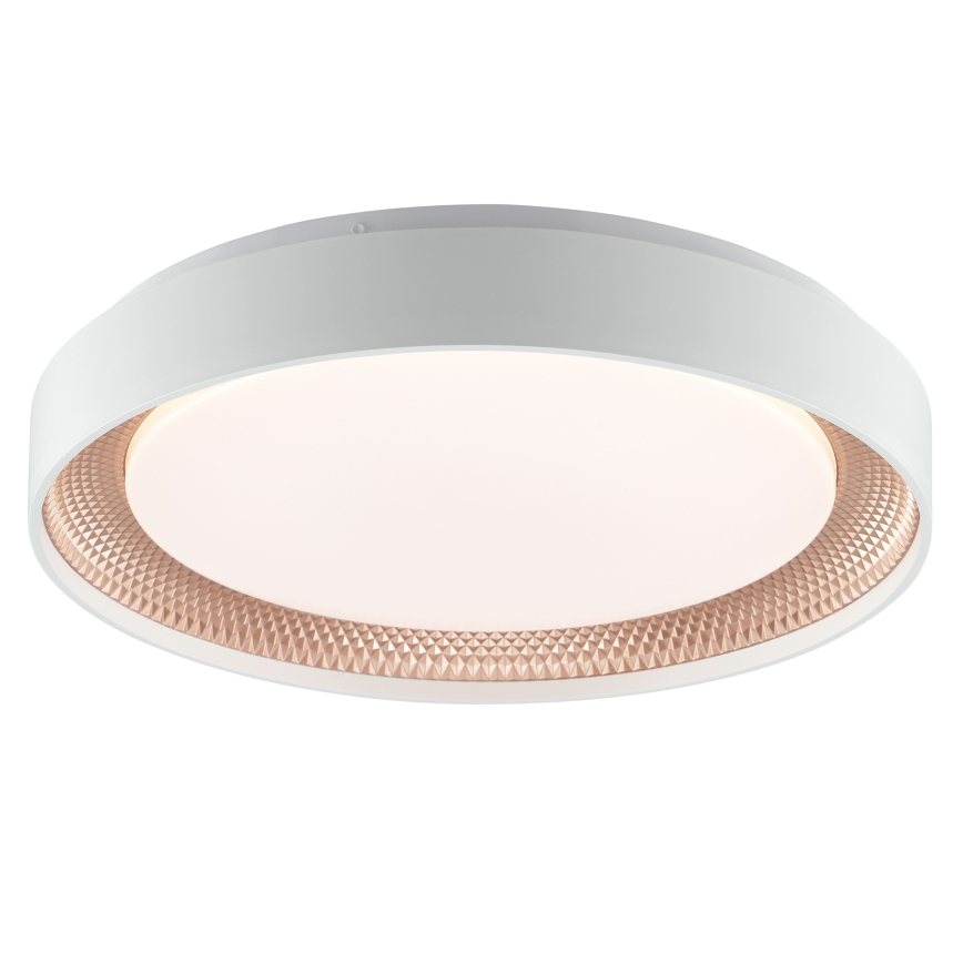 Brilliant - LED-hämardatav laelamp WALDO LED/24W/230V 3000-6500K Ø 38,5 cm valge/roosakuld + kaugjuhtimispult