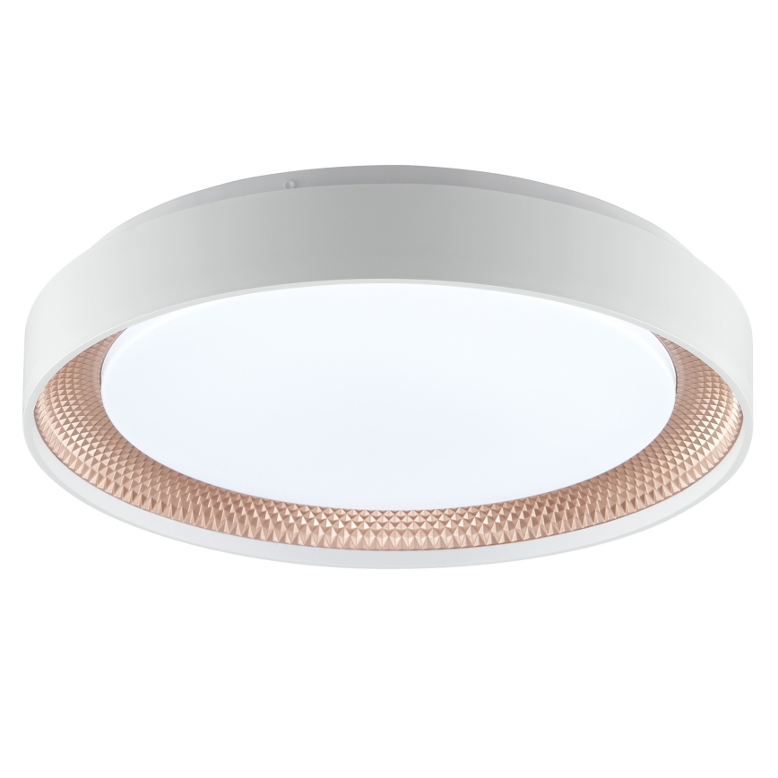 Brilliant - LED-hämardatav laelamp WALDO LED/24W/230V 3000-6500K Ø 38,5 cm valge/roosakuld + kaugjuhtimispult