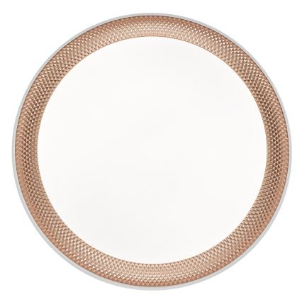 Brilliant - LED-hämardatav laelamp WALDO LED/24W/230V 3000-6500K Ø 38,5 cm valge/roosakuld + kaugjuhtimispult