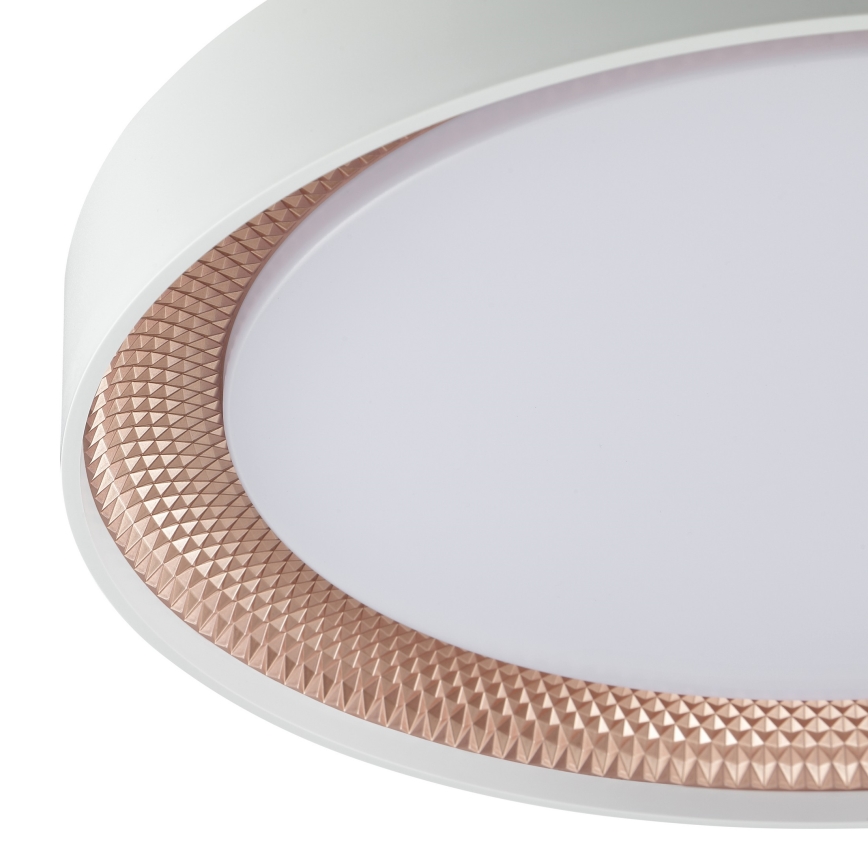 Brilliant - LED-hämardatav laelamp WALDO LED/24W/230V 3000-6500K Ø 38,5 cm valge/roosakuld + kaugjuhtimispult