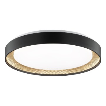 Brilliant - hämardatav LED-laelamp WALDO LED/36W/230V 3000-6500K läb. 48,5 cm must/kuldne + kaugjuhtimispult