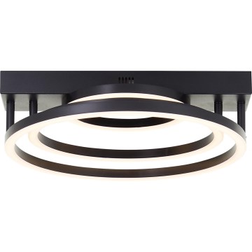 Brilliant - LED Hägus Lühtur PEDLEY LED/36W/230V must