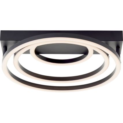 Brilliant - LED Hägus Lühtur PEDLEY LED/36W/230V must