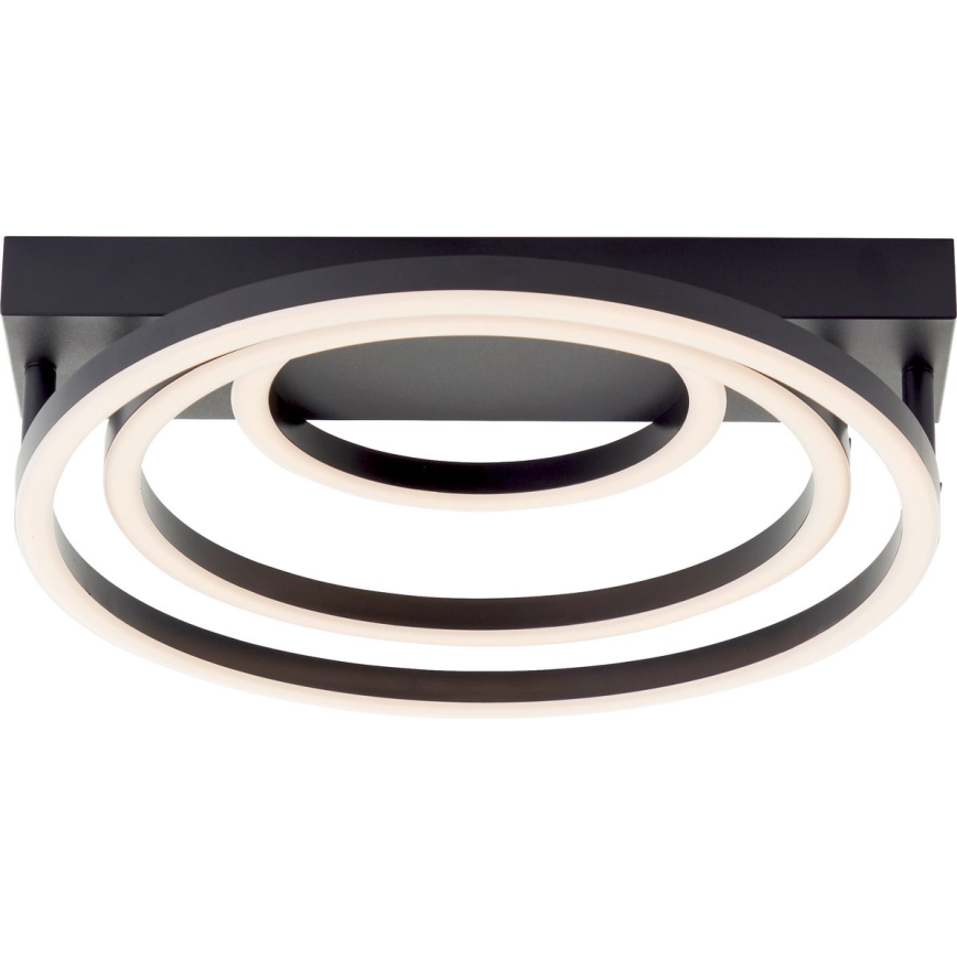 Brilliant - LED Hägus Lühtur PEDLEY LED/36W/230V must