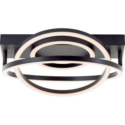 Brilliant - LED Hägus Lühtur PEDLEY LED/36W/230V must