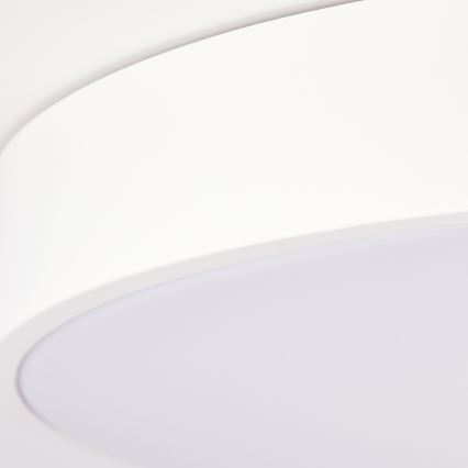 Brilliant - LED hämardatav laevalgusti SLIMLINE LED/60W/230V 3000–6500K Ø 49 cm valge + kaugjuhtimispult