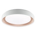 Brilliant - LED-hämardatav laelamp WALDO LED/24W/230V 3000-6500K Ø 38,5 cm valge/roosakuld + kaugjuhtimispult