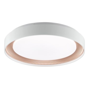 Brilliant - LED-hämardatav laelamp WALDO LED/24W/230V 3000-6500K Ø 38,5 cm valge/roosakuld + kaugjuhtimispult