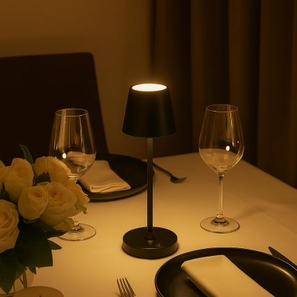 Brilliant - LED hämardatav laetav puutekontrolliga välitingimustes lauavalgusti ELORA LED/2,5W/5V 2700K 2600 mAh IP44 must