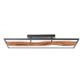 Brilliant - LED Hämardatav laevalgusti CHAUMONT LED/48W/230V kummi-viigipuu