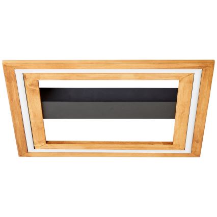 Brilliant - LED Hämardatav laevalgusti RHEA LED/24W/230V 3000K 45x45 cm