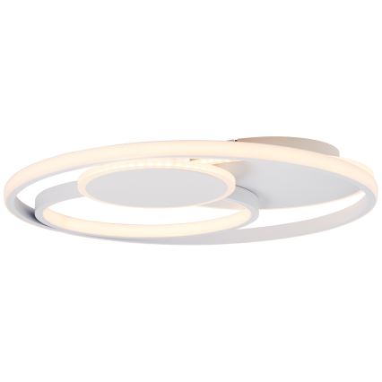 Brilliant - LED Hämardatav laevalgusti RUNDA LED/50W/230V 3000-6500K valge + kaugjuhtimispult