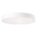 Brilliant - LED hämardatav laevalgusti SLIMLINE LED/60W/230V 3000–6500K Ø 49 cm valge + kaugjuhtimispult