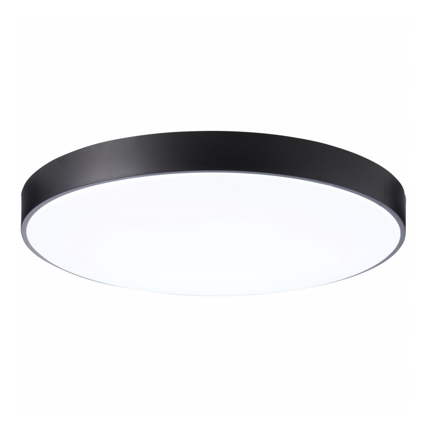 Brilliant - LED Hämardatav laevalgusti SLIMLINE LED/80W/230V 3000-6000K + Pult