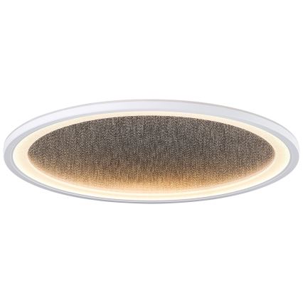 Brilliant - LED Hämardatav laevalgusti TANIDA LED/31W/230V 3000-6500K + kaugjuhtimispult