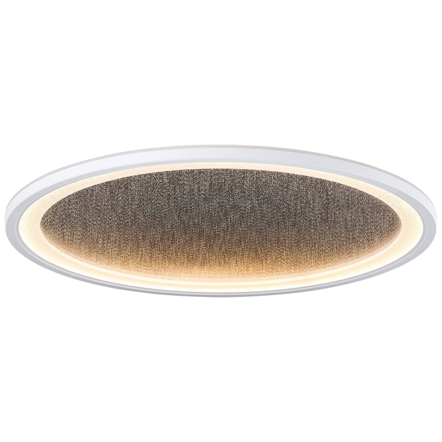 Brilliant - LED Hämardatav laevalgusti TANIDA LED/31W/230V 3000-6500K + kaugjuhtimispult