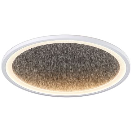 Brilliant - LED Hämardatav laevalgusti TANIDA LED/31W/230V 3000-6500K + kaugjuhtimispult