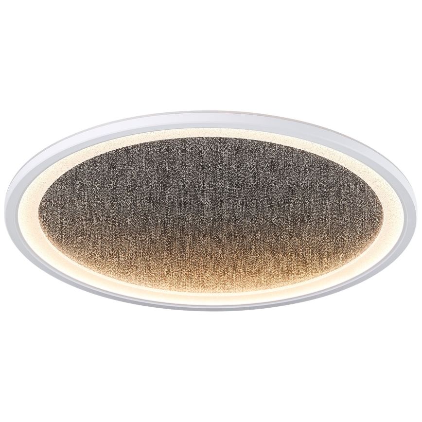 Brilliant - LED Hämardatav laevalgusti TANIDA LED/31W/230V 3000-6500K + kaugjuhtimispult