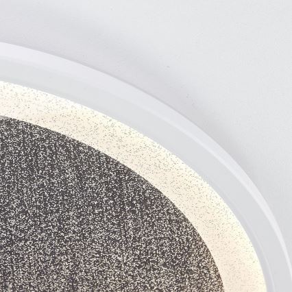 Brilliant - LED Hämardatav laevalgusti TANIDA LED/31W/230V 3000-6500K + kaugjuhtimispult