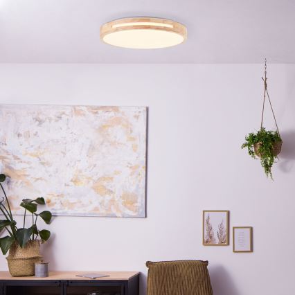 Brilliant - LED Hämardatav laevalgusti WOODBURY LED/24W/230V d. 39 cm kummi-viigipuu