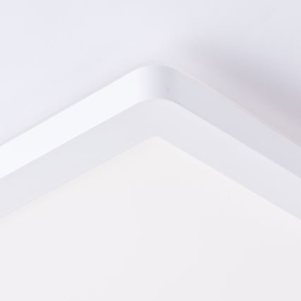 Brilliant - LED laelamp MILTON LED/24W/230V 42x42 cm valge