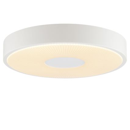 Brilliant - LED laelamp RAKIN LED/18W/230V Ø 33,5 cm valge