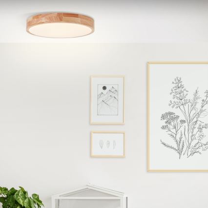 Brilliant - LED laelamp SLIMLINE LED/22W/230V läbimõõt 39 cm kummipuu