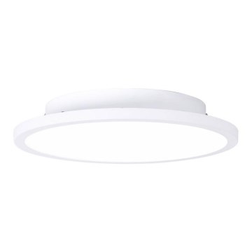 Brilliant - LED Laevalgusti BUFFI LED/12W/230V d. 25 cm 4000K