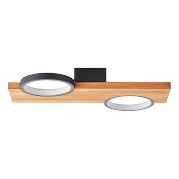 Brilliant - LED Laevalgusti CHEESY LED/14W/230V mänd - FSC sertifitseeritud