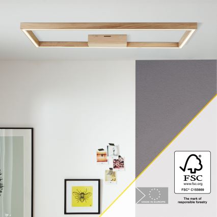 Brilliant - LED laevalgusti DELGROSSO LED/24W/230V 3000K tamm