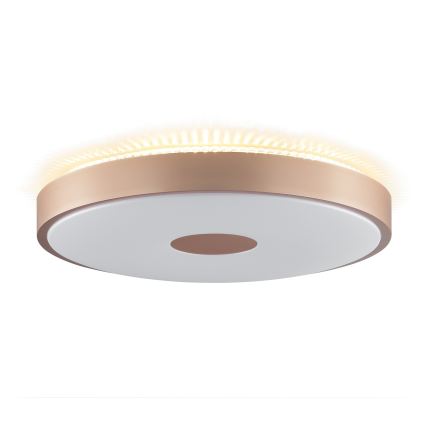 Brilliant - LED laevalgusti TAVIS LED/24W/230V läbimõõt 44,5 cm roosakuldne