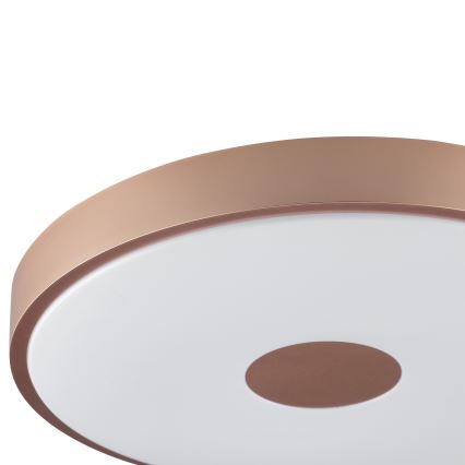 Brilliant - LED laevalgusti TAVIS LED/24W/230V läbimõõt 44,5 cm roosakuldne