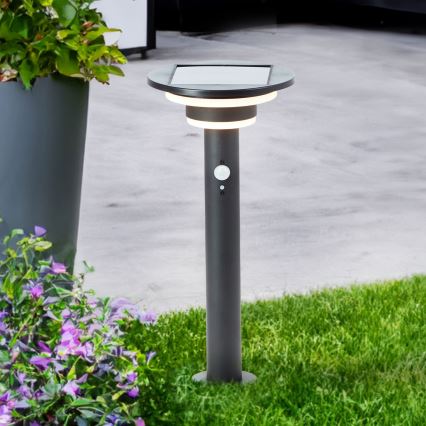 Brilliant - LED Päikesepaneeliga valgusti anduriga GARVINA LED/3W/3,7V 45 cm IP44 must