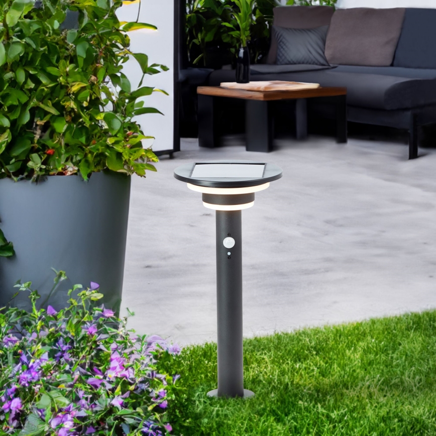 Brilliant - LED Päikesepaneeliga valgusti anduriga GARVINA LED/3W/3,7V 45 cm IP44 must