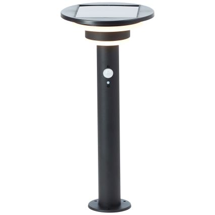 Brilliant - LED Päikesepaneeliga valgusti anduriga GARVINA LED/3W/3,7V 45 cm IP44 must