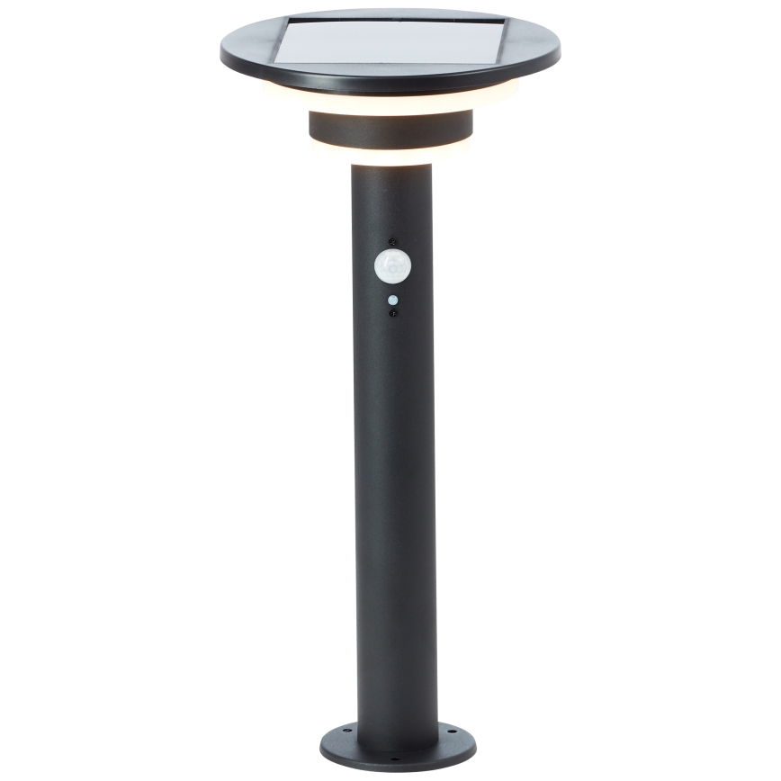 Brilliant - LED Päikesepaneeliga valgusti anduriga GARVINA LED/3W/3,7V 45 cm IP44 must