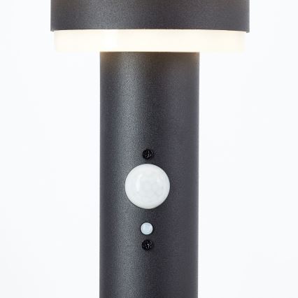 Brilliant - LED Päikesepaneeliga valgusti anduriga GARVINA LED/3W/3,7V 45 cm IP44 must