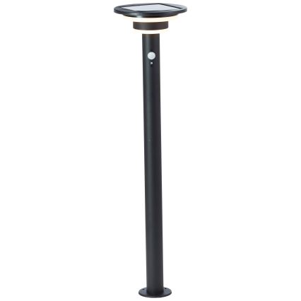 Brilliant - LED Päikesepaneeliga valgusti anduriga GARVINA LED/3W/3,7V 85 cm IP44 must