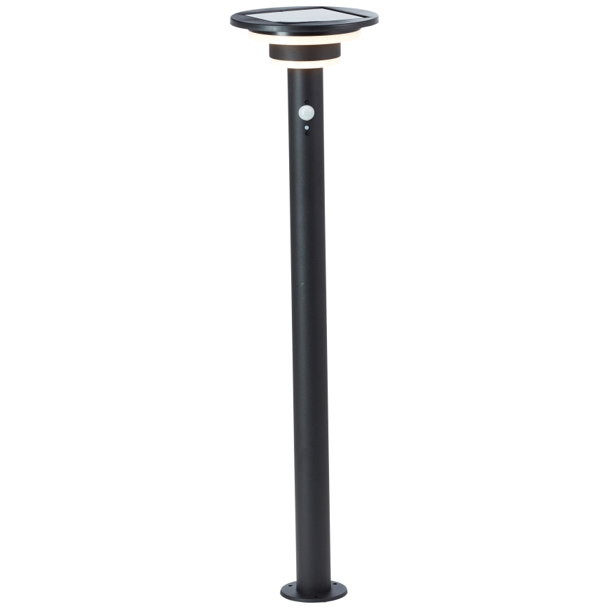 Brilliant - LED Päikesepaneeliga valgusti anduriga GARVINA LED/3W/3,7V 85 cm IP44 must