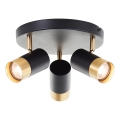 Brilliant - LED suunavalgusti VIGOLO 3xGU10/5W/230V must/kuldne