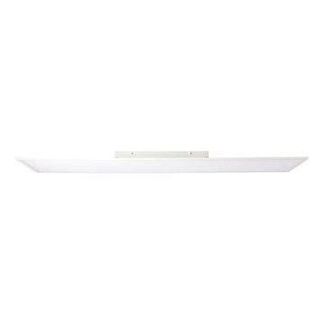Brilliant - LED Valguspaneel CHARLA LED/40W/230V 29,5x119,5 cm 2700K