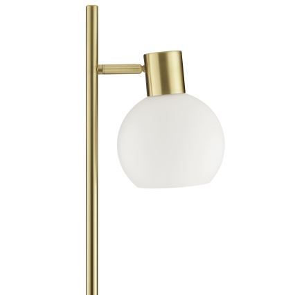 Brilliant - Põrandalamp CONY 1xE14/20W/230V messing