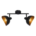 Brilliant - Punktvalgusti LAYTON 2xE14/25W/230V must/kuldne
