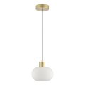Brilliant - Ripplühter kaabliga FANNY 1xE27/20W/230V Ø 22 cm messing