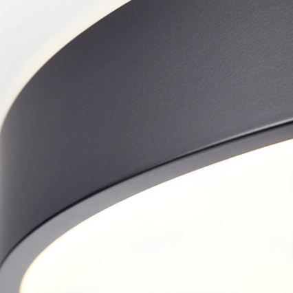 Brilliant - LED hämardatav laelamp SLIMLINE LED/50W/230V 1800-6500K läbimõõt 49 cm must + kaugjuhtimispult