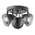Brilliant - Suunavalgusti CARMEN 3xGU10/5W/230V, must